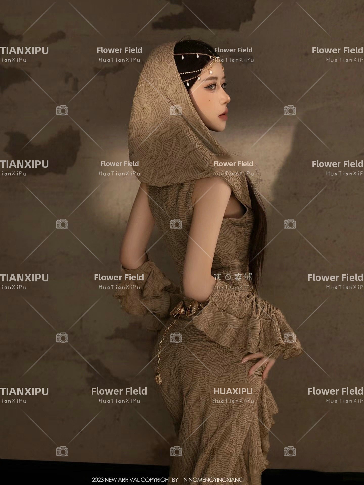 New Desert  Princess Style Pho - Ethnic Fashion Photography recension och pris